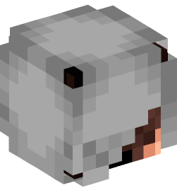 Minecraft head — People