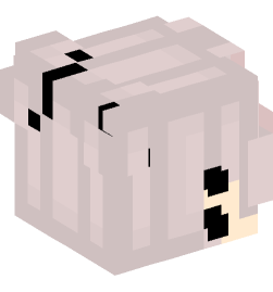 Minecraft head — People