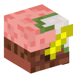 Minecraft head — Decor