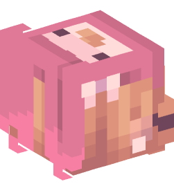 Minecraft head — People