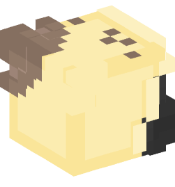 Minecraft head — People