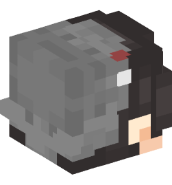 Minecraft head — People