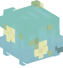 Minecraft head — People