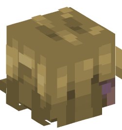 Minecraft head — Creatures