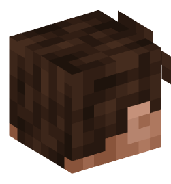 Minecraft head — People