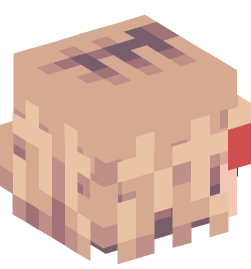 Minecraft head — People