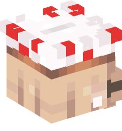 Minecraft head — People