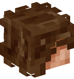 Minecraft head — People