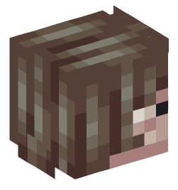 Minecraft head — People