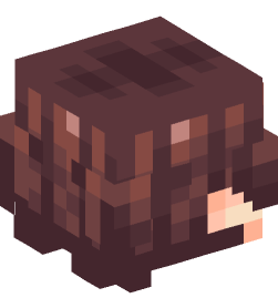 Minecraft head — People