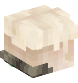 Minecraft head — People