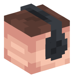 Minecraft head — People