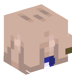 Minecraft head — People