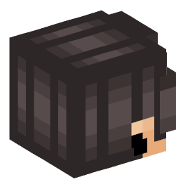 Minecraft head — People