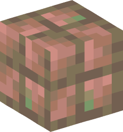 Minecraft head — Blocks