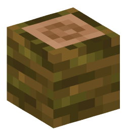 Minecraft head — Blocks