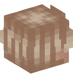 Minecraft head — People