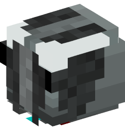 Minecraft head — Decor