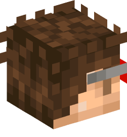 Minecraft head — People