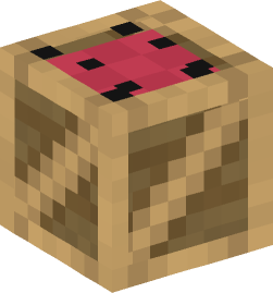 Minecraft head — Decor