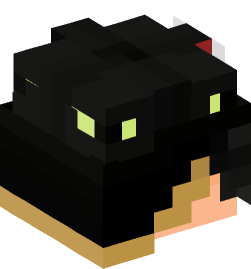 Minecraft head — People