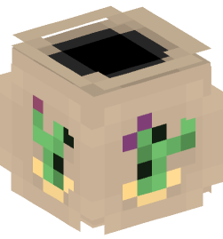 Minecraft head — Decor