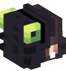 Minecraft head — People