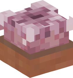 Minecraft head — Decor