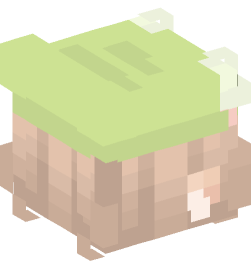 Minecraft head — People