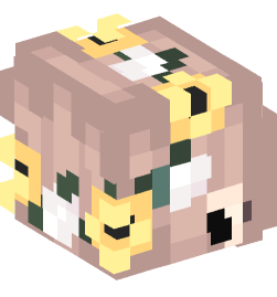 Minecraft head — People