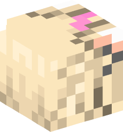 Minecraft head — People