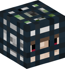 Minecraft head — Decor