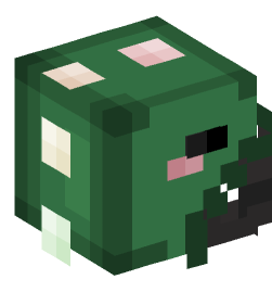 Minecraft head — People