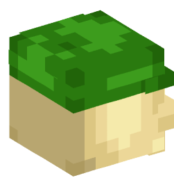 Minecraft head — Decor