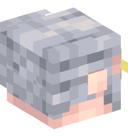 Minecraft head — People