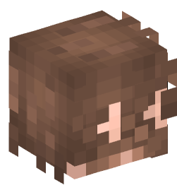 Minecraft head — People