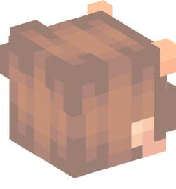 Minecraft head — Creatures