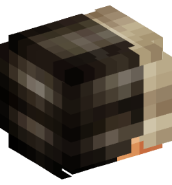 Minecraft head — People