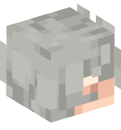 Minecraft head — People