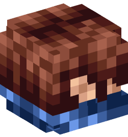 Minecraft head — People