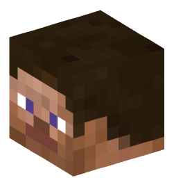 Minecraft head — People