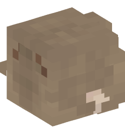 Minecraft head — People