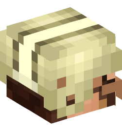 Minecraft head — People