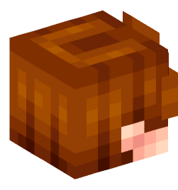 Minecraft head — People