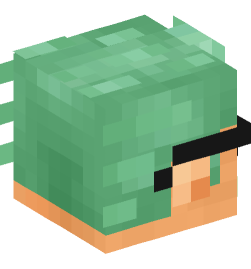 Minecraft head — People