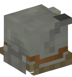 Minecraft head — People