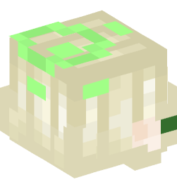 Minecraft head — People