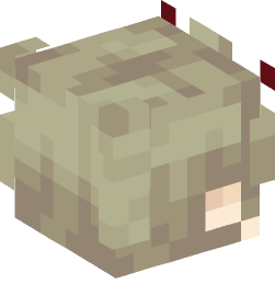 Minecraft head — Creatures