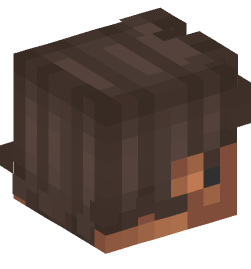 Minecraft head — People