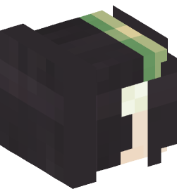 Minecraft head — People